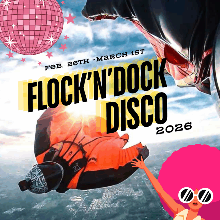 Flock’N’Dock Disco 2026
